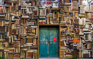 Book-covered walls