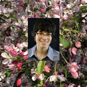 Courtney Hollender portrait with background photo of apple blossoms