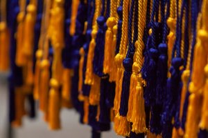 Photo of Honors Maize & Blue Cords