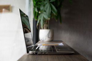 laptop on a desk with a potted plant in the background