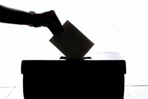 Cast your (virtual) ballot at vote.umich.edu!