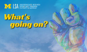 UROP What's Going On