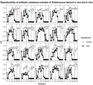 Graphs showing reproducibility of antibiotic resistance evolution of Enterococcus faecium in vivo and in vitro by season