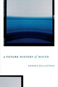 Book cover:  "A Future History of Water" by Andrea Ballestro.  An abstract image of water framed as a color photo negative, against a plain white background.
