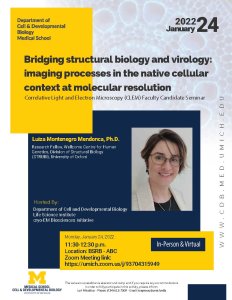 Bridging structural biology and virology: imaging processes in the native cellular context at molecular resolution