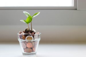 Cup of coins with plant sprouting out