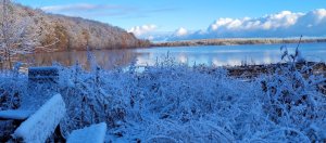 A bench covered in snow overlooking Douglas Lake.