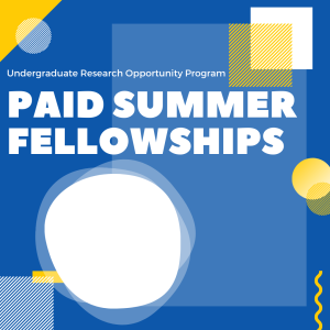 Paid UROP Summer Fellowships