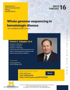 Whole genome sequencing in hematologic disease