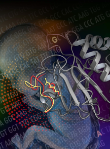 illustration of cartoon of a molecule over a drawing of fetus with letters of DNA superimposed