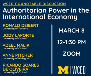 Authoritarian Power in the International Economy