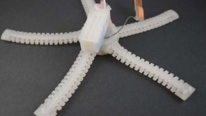 Robot starfish
