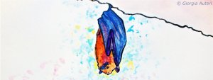 Drawing of a bat hanging upside down by Giorgia Auteri