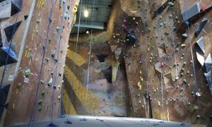 Image Imported from Maize Pages