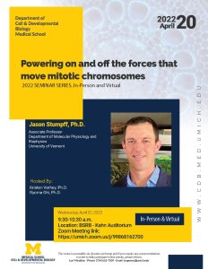 Powering on and off the forces that move mitotic chromosomes