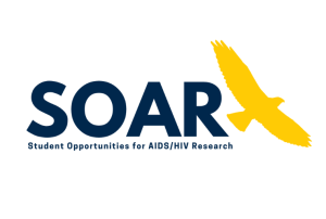SOAR Logo