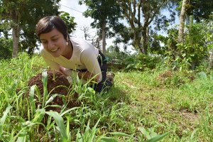 Jenny Flores on a coffee farm in Puerto Rico looking at a large ant hill