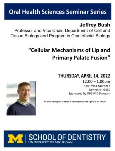 Jeffrey Bush Professor and Vice Chair, Department of Cell and Tissue Biology and Program in Craniofacial Biology