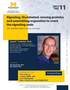 Signaling, illuminated: moving proteins and assembling organelles to crack the signaling code