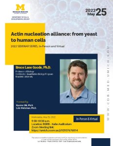 Actin nucleation alliance: from yeast to human cells