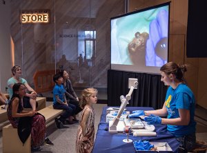 UMMNH docent demonstrating cow eye dissection to audience and child in the Museum's Science Forum