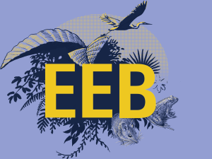 EEB superimposed over leaves, a rodent, an amphibian and a bird