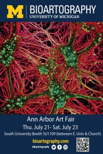 BioArtography at the Ann Arbor Art Fair