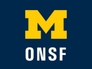 Office of National Scholarships and Fellowships Logo