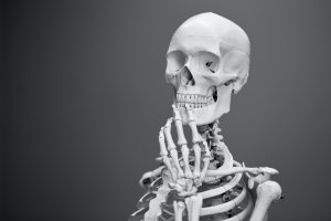 a skeleton posed in a way that make it look like it is in deep thought