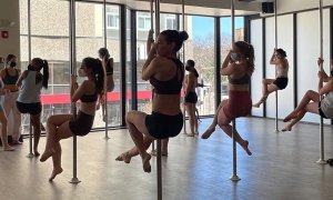 Image Imported from Maize Pages