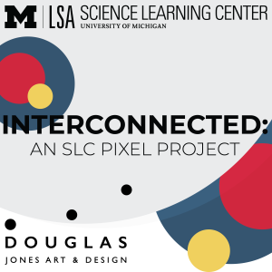 Interconnected: An SLC Pixel Project