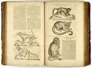Page spread from Historia naturae, 1635
