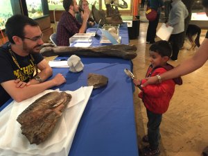 ID Day at the Ruthven Museum of Natural History in 2016