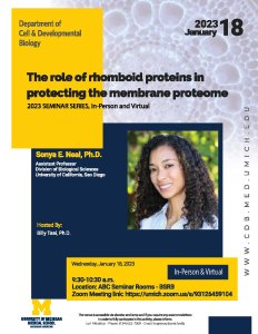 The role of rhomboid proteins in protecting the membrane proteome