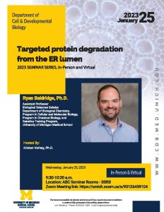Targeted protein degradation from the ER lumen