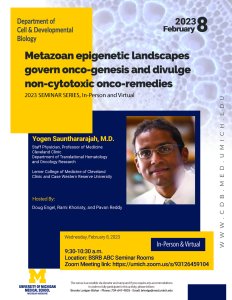 Metazoan epigenetic landscapes govern onco-genesis and divulge non-cytotoxic onco-remedies