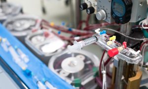 Image Imported from Maize Pages