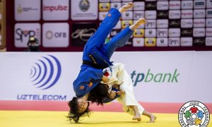 Image Imported from Maize Pages