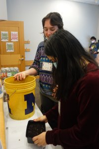 One stuent teaches another how to plant microgreens