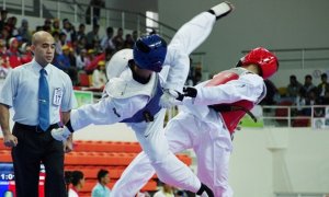 Image Imported from Maize Pages