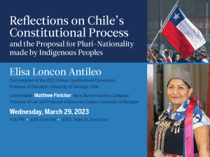 Donia Human Rights Center Lecture | Reflections on Chile's Constitutional Process and the Proposal for Pluri-Nationality made by Indigenous People
