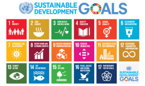 United Nations Sustainable Development Goals