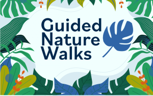 An image with a floral background that says "Guided Nature Walks"