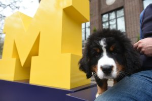 Block M and a cute dog in front of the Hatcher Library.