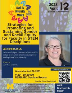 Strategies for Promoting and Sustaining Gender and Racial Equity for Faculty in STEM Disciplines