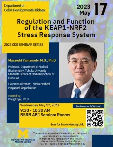 Regulation and Function of the KEAP1-NRF2 Stress Response System