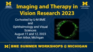 Imaging and Therapy in Vision Research 2023