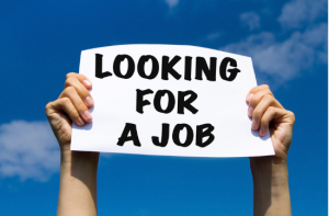 Looking for a job?