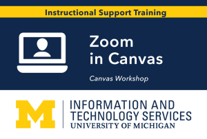 Zoom in Canvas image