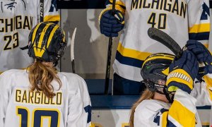 Image Imported from Maize Pages